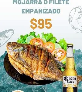 PROMOCIONES DEL DIA